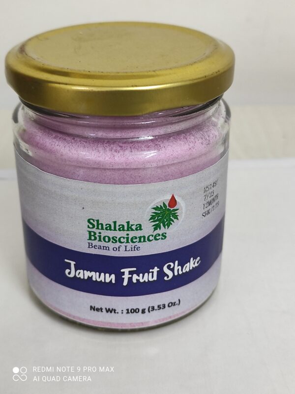 Jamun Fruit Shake