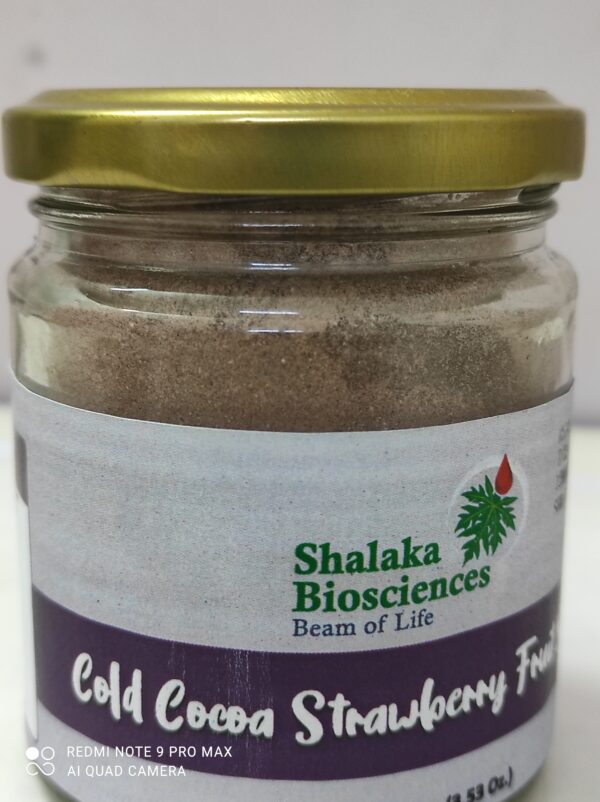 Cold Cocoa Strawberry Fruit Shake